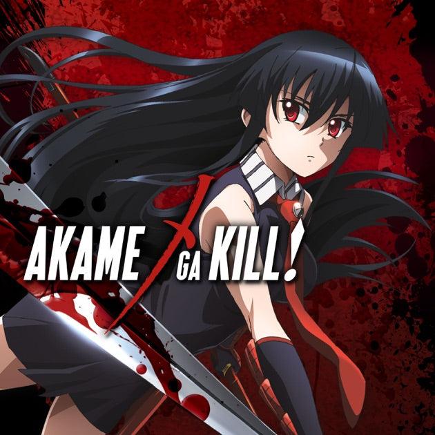 Top 5 Akame Ga Kill Characters Featured on Sneakers: A Must-Have for Fans - Ayuko