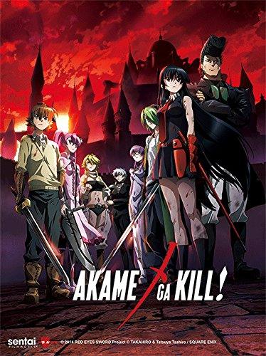 The Deadly Style: Exploring Akame Ga Kill Anime Sneaker Designs - Ayuko