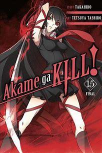 Akame Ga Kill Sneakers: A Perfect Blend of Fashion and Assassination - Ayuko